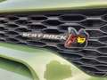Dodge Charger 6.4L ScatPack Widebody-LAST CALL Grün - thumbnail 10