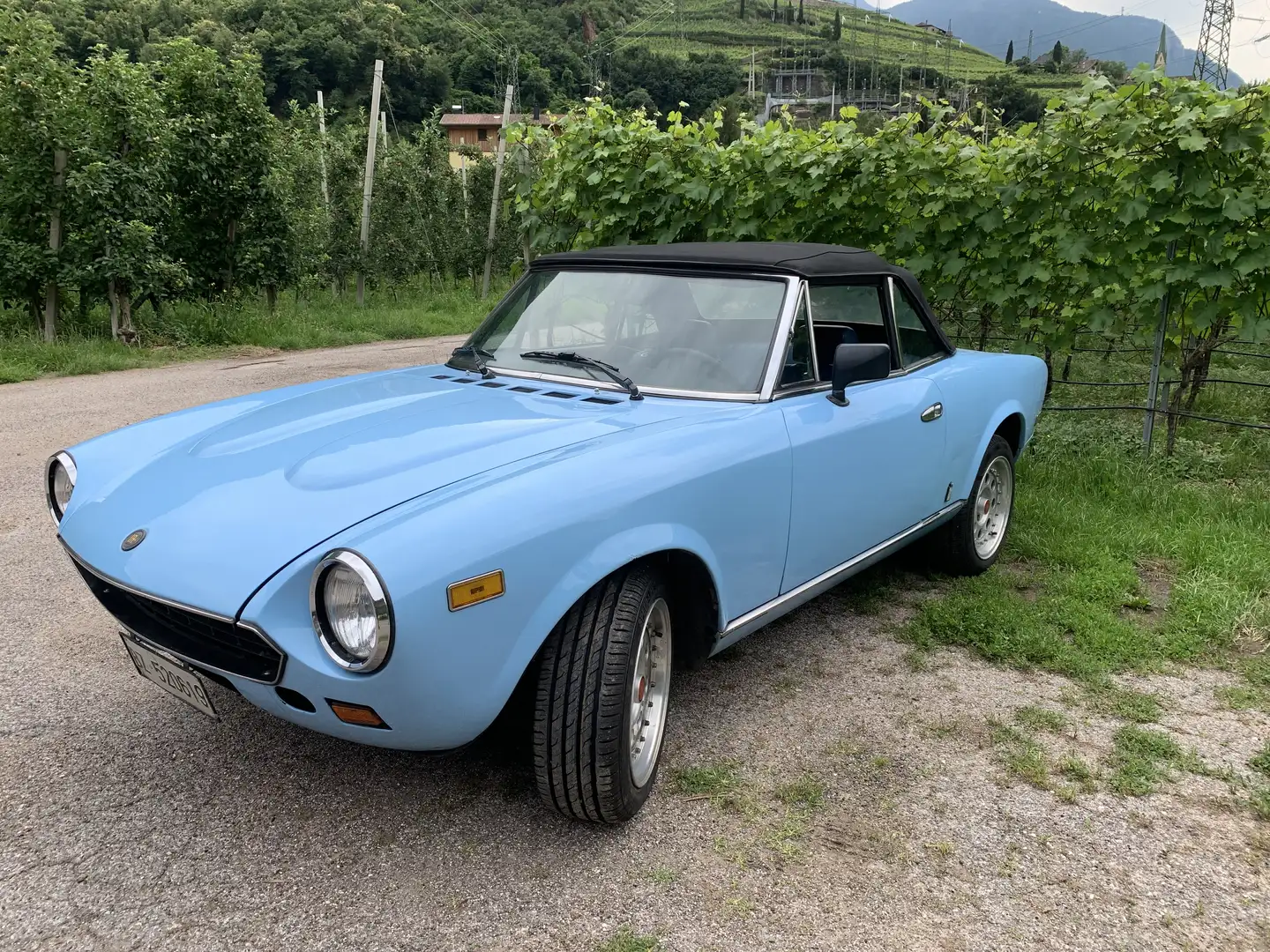 Fiat 124 Spider Blu/Azzurro - 2
