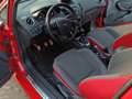 Ford Fiesta 1.0 EcoBoost 140 S&S Red Edition Rood - thumbnail 6