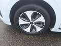 Hyundai IONIQ Ioniq Elektro 28 kWh Level 4 Aut. 8-fach Weiß - thumbnail 18