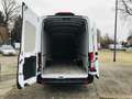 Ford Transit FT 350 L4H3''Trend''Kamera,Tempomat Blanco - thumbnail 9