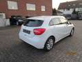 Mercedes-Benz A 180 A 180 BlueEfficiency+Sport+Autom.+AHK+Tempomat+ Weiß - thumbnail 6