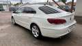 Volkswagen CC Lückenloses Serviceheft bei VW Weiß - thumbnail 5