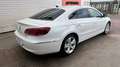 Volkswagen CC Lückenloses Serviceheft bei VW Weiß - thumbnail 4