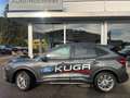 Ford Kuga ST-Line X 2.5 PHEV Aut. AHK/Pano/LED-Matrix Grigio - thumbnail 5
