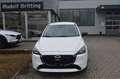 Mazda 2 SKYACTIV-Benzin 6GS 90PS Homura White - thumbnail 3