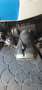 BMW R 80 G/S Bianco - thumbnail 5