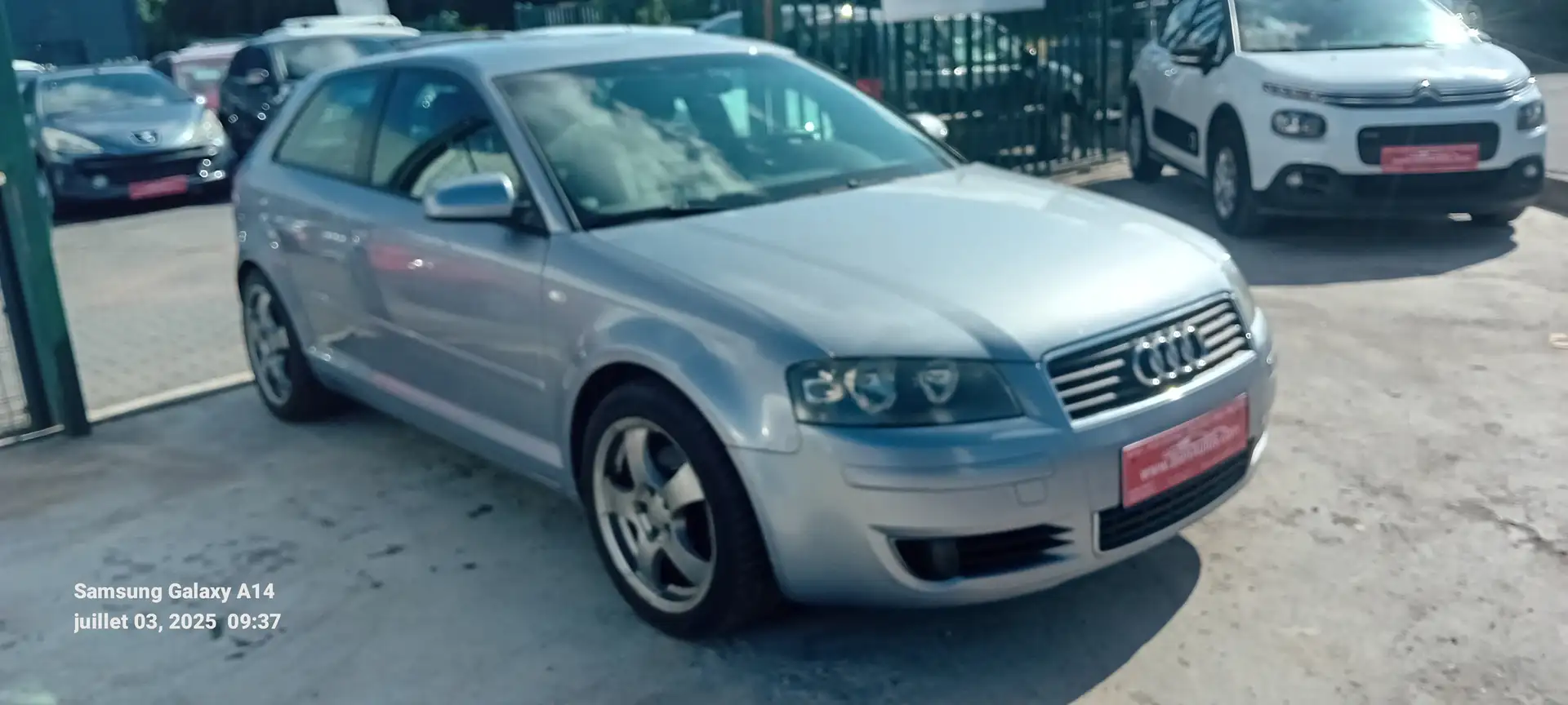 Audi A3 A3 1.6i Ambiente - 2