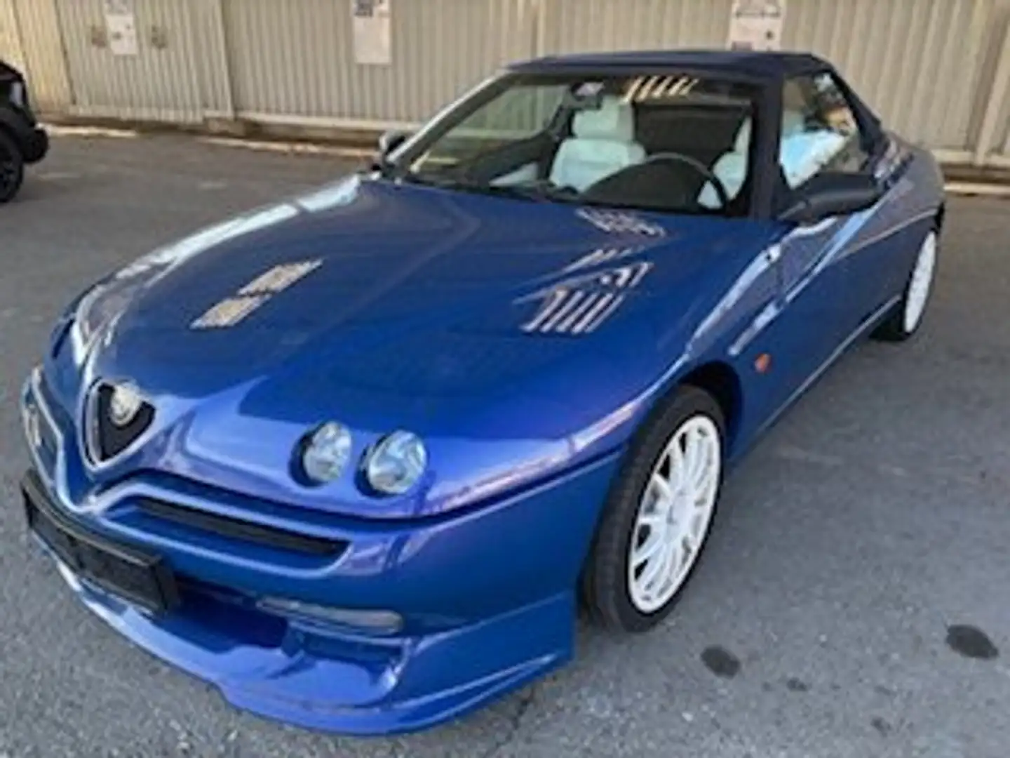 Alfa Romeo Spider Blau - 1