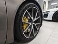 Lotus Emira 3.5 V6 FIRST EDITION_MANUALE_SCARICO_ALCANTARA_TOP Grau - thumbnail 3