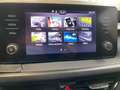 Skoda Fabia Ambition 1.0 TSI Frontscheibe heizbar Schwarz - thumbnail 13