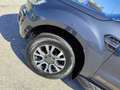 Ford Ranger Ranger Doppelkabine Wildtrak 4x4 2,0 EcoBlue Aut. Grau - thumbnail 9