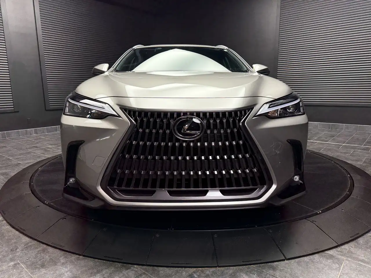 Lexus NX снимка Lexus NX