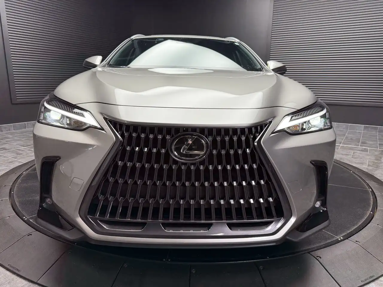 Lexus NX снимка Lexus NX
