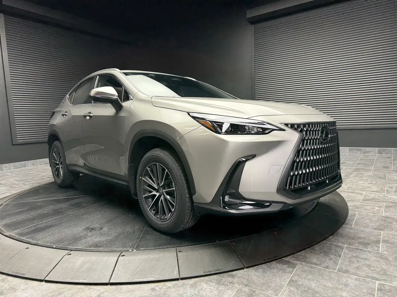 Lexus NX снимка Lexus NX