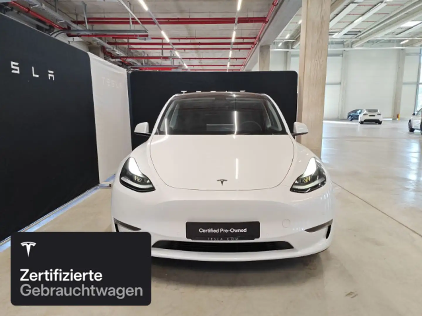 Tesla Model Y Long Range AWD Weiß - 2