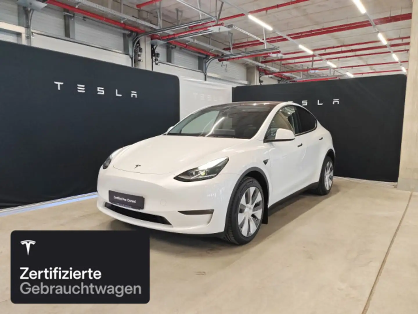 Tesla Model Y Long Range AWD Weiß - 1
