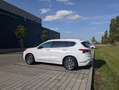 Hyundai SANTA FE Santa Fe 1,6 T-GDI Plug-In 4WD 7stz. Luxury Line Aut. Luxury Line Weiß - thumbnail 1