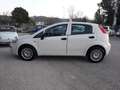 Fiat Punto Punto III 2012 5p 1.2 Street E6 Bianco - thumbnail 1
