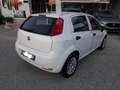 Fiat Punto Punto III 2012 5p 1.2 Street E6 Bianco - thumbnail 5