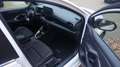 Mazda 2 Hybrid 1.5L VVT-i 116 PS AT FWD AGILE COMFORT-P Wit - thumbnail 4