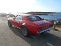 Ford Mustang 428 Cobra-jet Code R Rouge - thumbnail 3