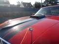 Ford Mustang 428 Cobra-jet Code R Rouge - thumbnail 15