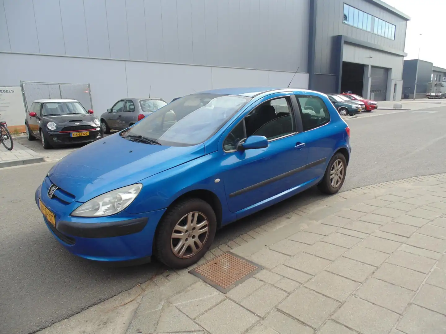Peugeot 307 1.6-16V XS Bleu - 2