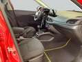 Fiat Tipo Kombi 1.6 MultiJet Life Sitzhzg. Winterräder Rot - thumbnail 12