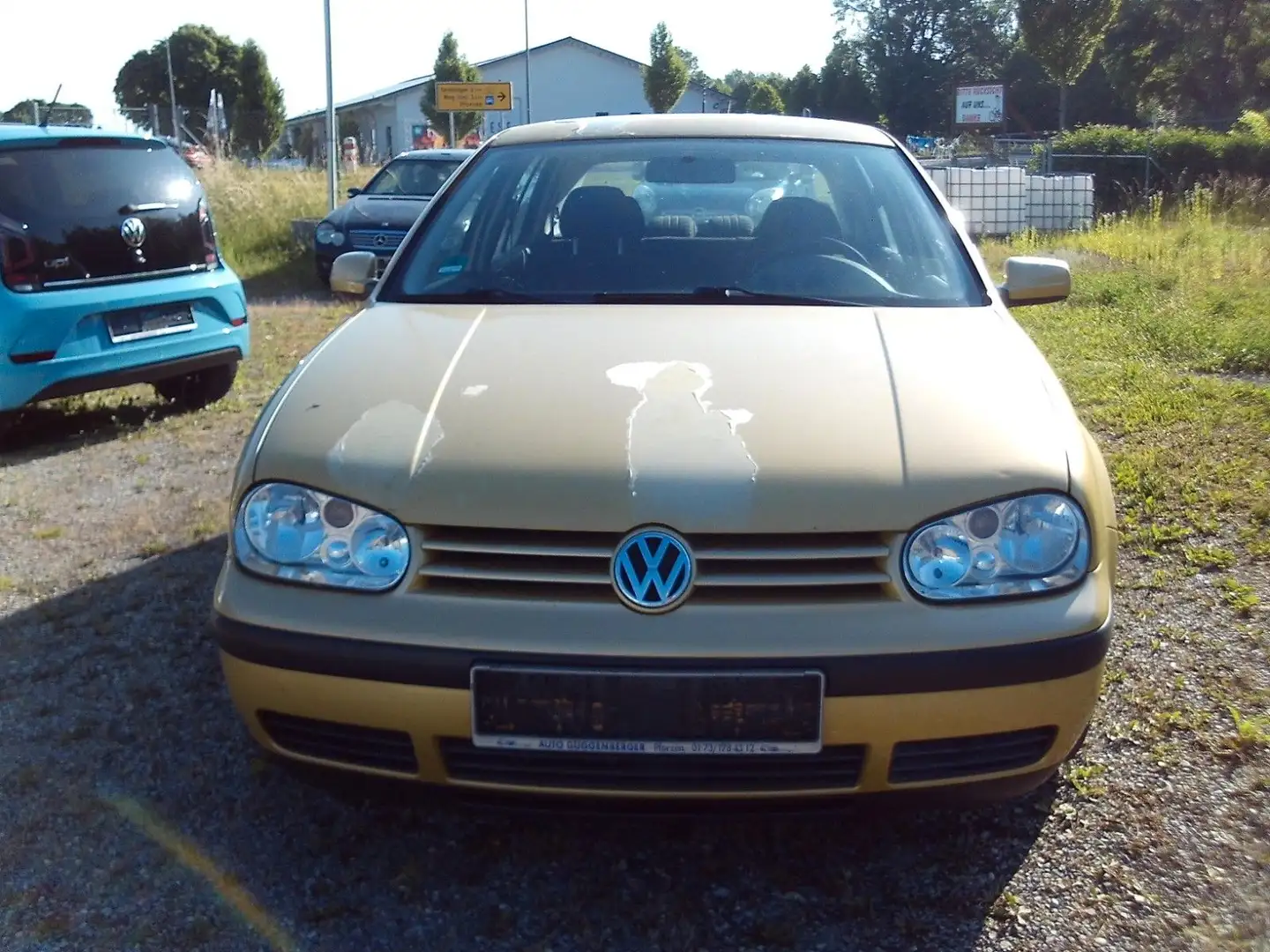 Volkswagen Golf 1.4 Trendline 3.Hand 8,Fachbereift AHK Gold - 2