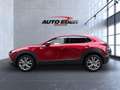 Mazda CX-30 Selection 2WD Bluetooth Head Up Display Navi Rot - thumbnail 8