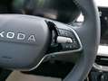 Skoda Fabia Fabia 130 Jahre 1,0 MPI*LED*PDC HI.*RFK*APP-CONNEC Grau - thumbnail 15