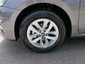 Skoda Fabia Fabia 130 Jahre 1,0 MPI*LED*PDC HI.*RFK*APP-CONNEC Grau - thumbnail 4