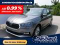Skoda Fabia Fabia 130 Jahre 1,0 MPI*LED*PDC HI.*RFK*APP-CONNEC Grau - thumbnail 1