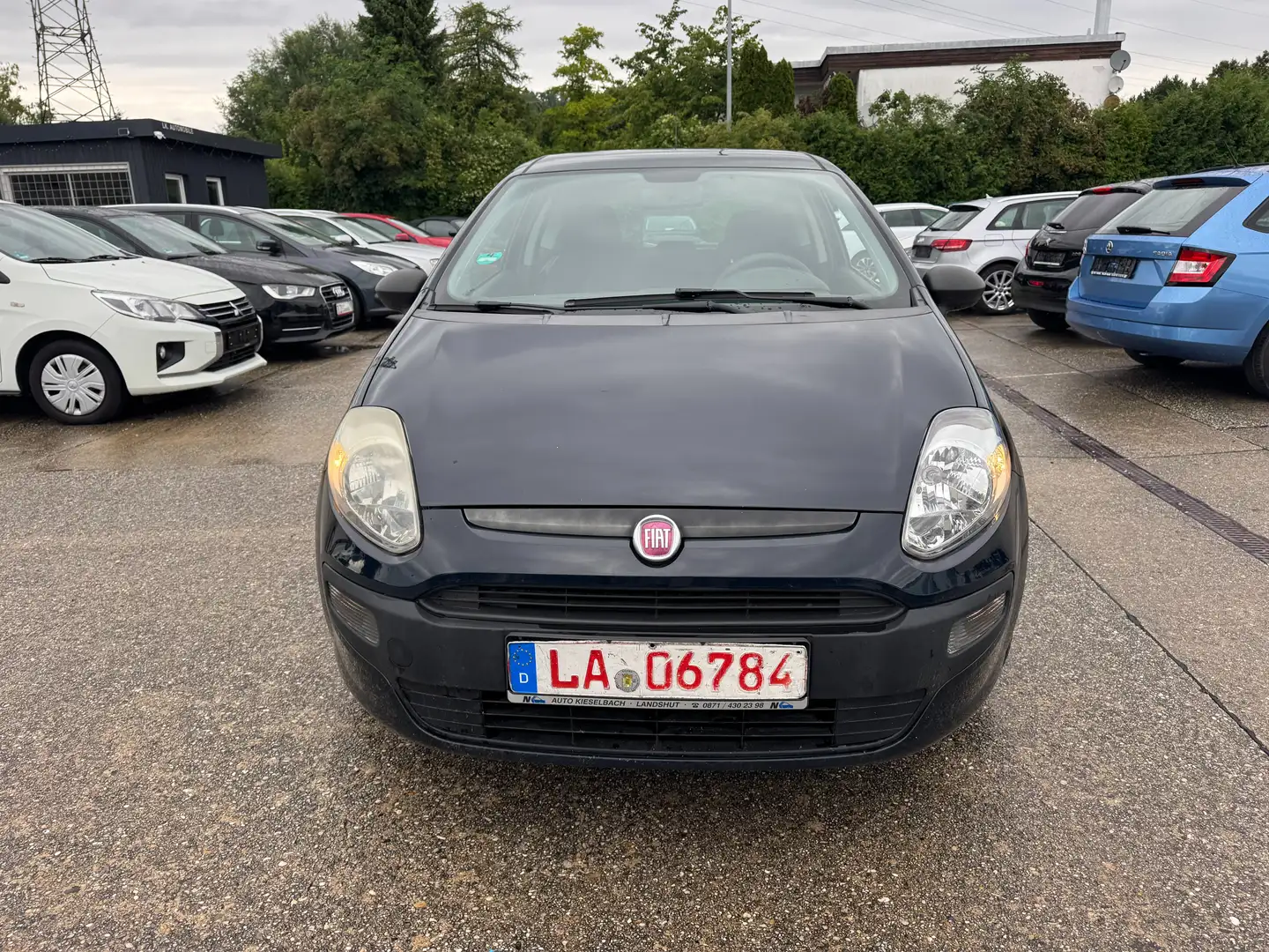 Fiat Punto Active Blau - 2
