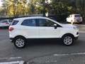 Ford EcoSport 1.5 tdci Titanium 95cv E6   UNICO  PROPRIETARIO Bianco - thumbnail 3