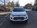 Ford EcoSport 1.5 tdci Titanium 95cv E6   UNICO  PROPRIETARIO Bianco - thumbnail 5
