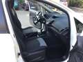 Ford EcoSport 1.5 tdci Titanium 95cv E6   UNICO  PROPRIETARIO Bianco - thumbnail 9