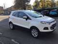 Ford EcoSport 1.5 tdci Titanium 95cv E6   UNICO  PROPRIETARIO Bianco - thumbnail 6