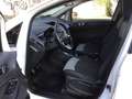 Ford EcoSport 1.5 tdci Titanium 95cv E6   UNICO  PROPRIETARIO Bianco - thumbnail 7