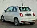 Fiat 500 /Automatik/Pop Star/S&S/4Zylinder/ Weiß - thumbnail 8