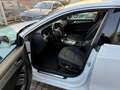 Audi A5 A5 Sportback  2.0 tdi Business 177cv multitronic Bianco - thumbnail 13