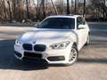 BMW 116 116d Sport Line Weiß - thumbnail 2