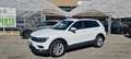 Volkswagen Tiguan 2ª serie 2.0 TDI SCR 4MOTION ADVANCED Bianco - thumbnail 1