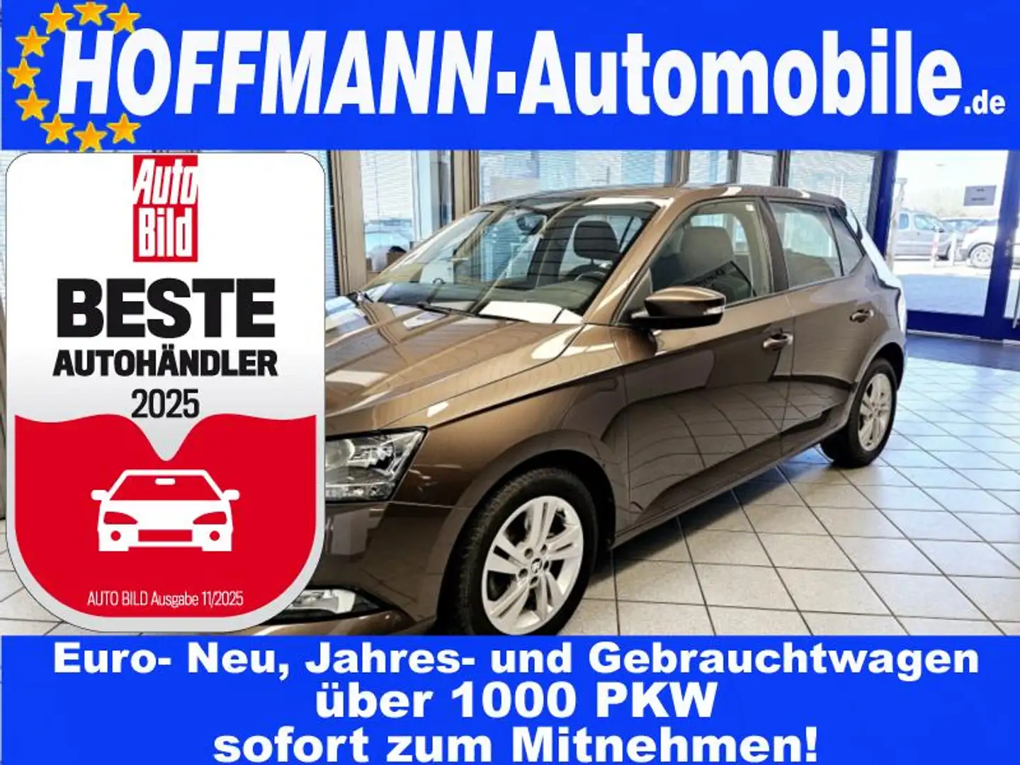 Skoda Fabia Ambition App-Connect,PDC,Sitzheizung Hnědá - 1