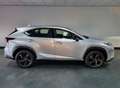 Lexus NX 300h AWD Business Line Pro / Pano / Trekhaak Grijs - thumbnail 6