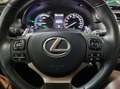 Lexus NX 300h AWD Business Line Pro / Pano / Trekhaak Grijs - thumbnail 31