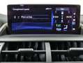 Lexus NX 300h AWD Business Line Pro / Pano / Trekhaak Grijs - thumbnail 50