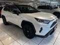 Toyota RAV 4 4 Hybrid 4x2 Style Selection Blanc - thumbnail 1