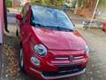 Fiat 500 -1.2.-Alu-Felgen-1.HD.-Klima-TÜV-NEU- Rot - thumbnail 2